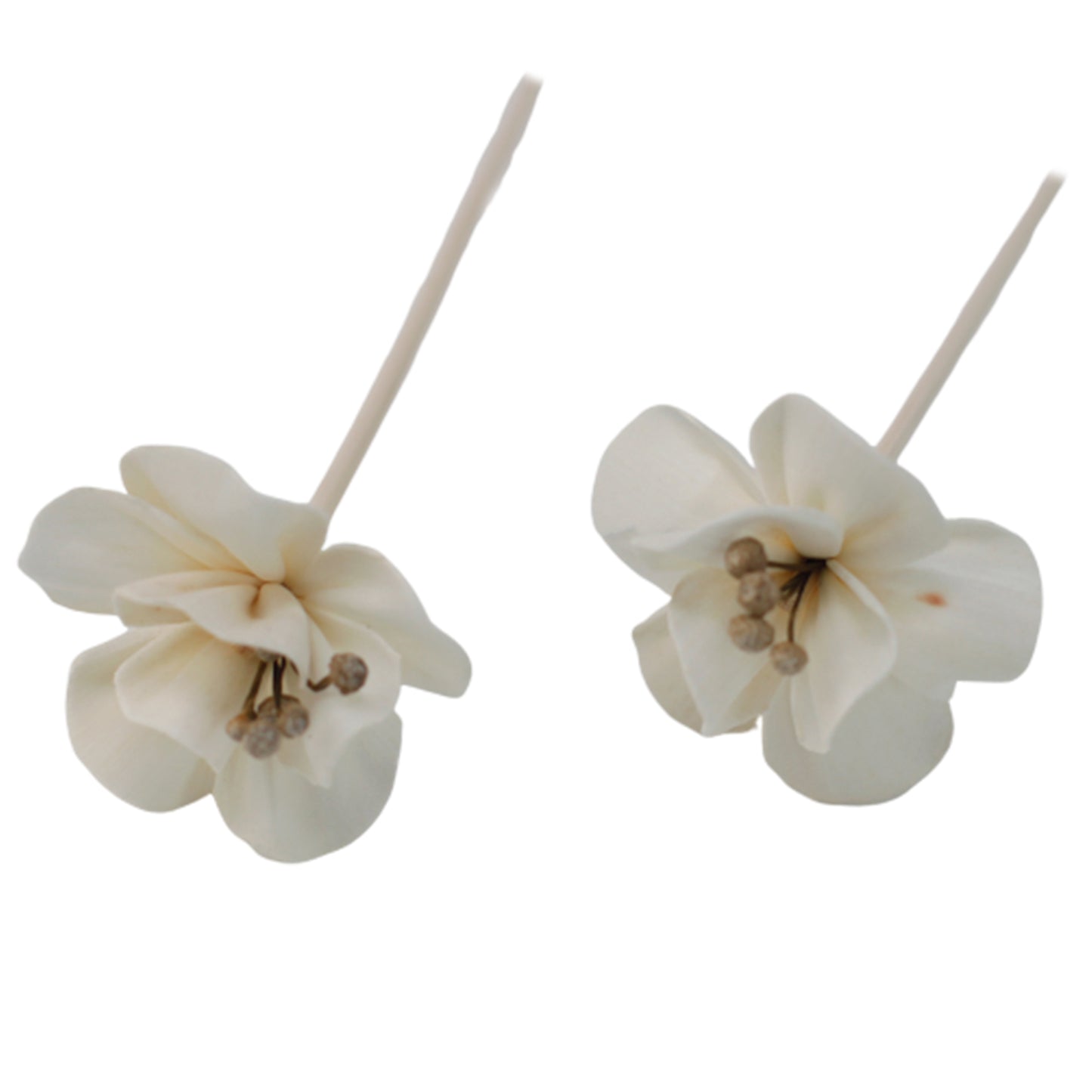 Flores difusoras naturais - Lírio sobre junco