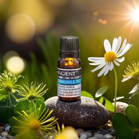 Óleo Essencial Camomila Romana Diluída| Chamomile Roman (10ml)