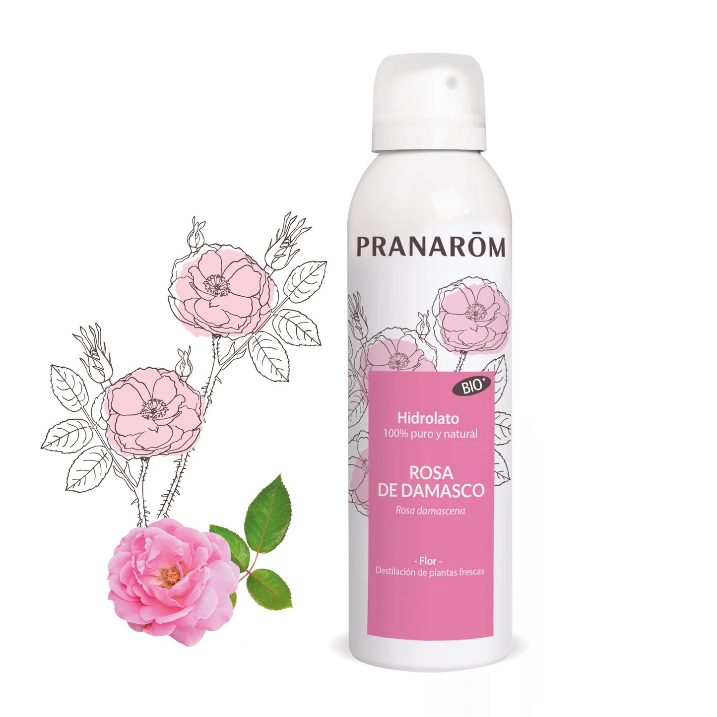 Hidrolato de Rosa Damascena | BIO - 150 ml - PRANARÔM
