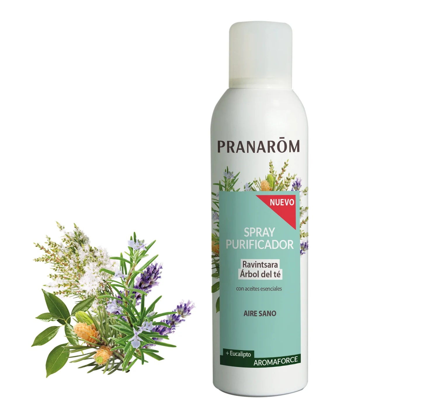 AROMAFORCE Spray Purificador Ravintsara e Árvore do Chá | BIO - 150ml – PRANARÔM