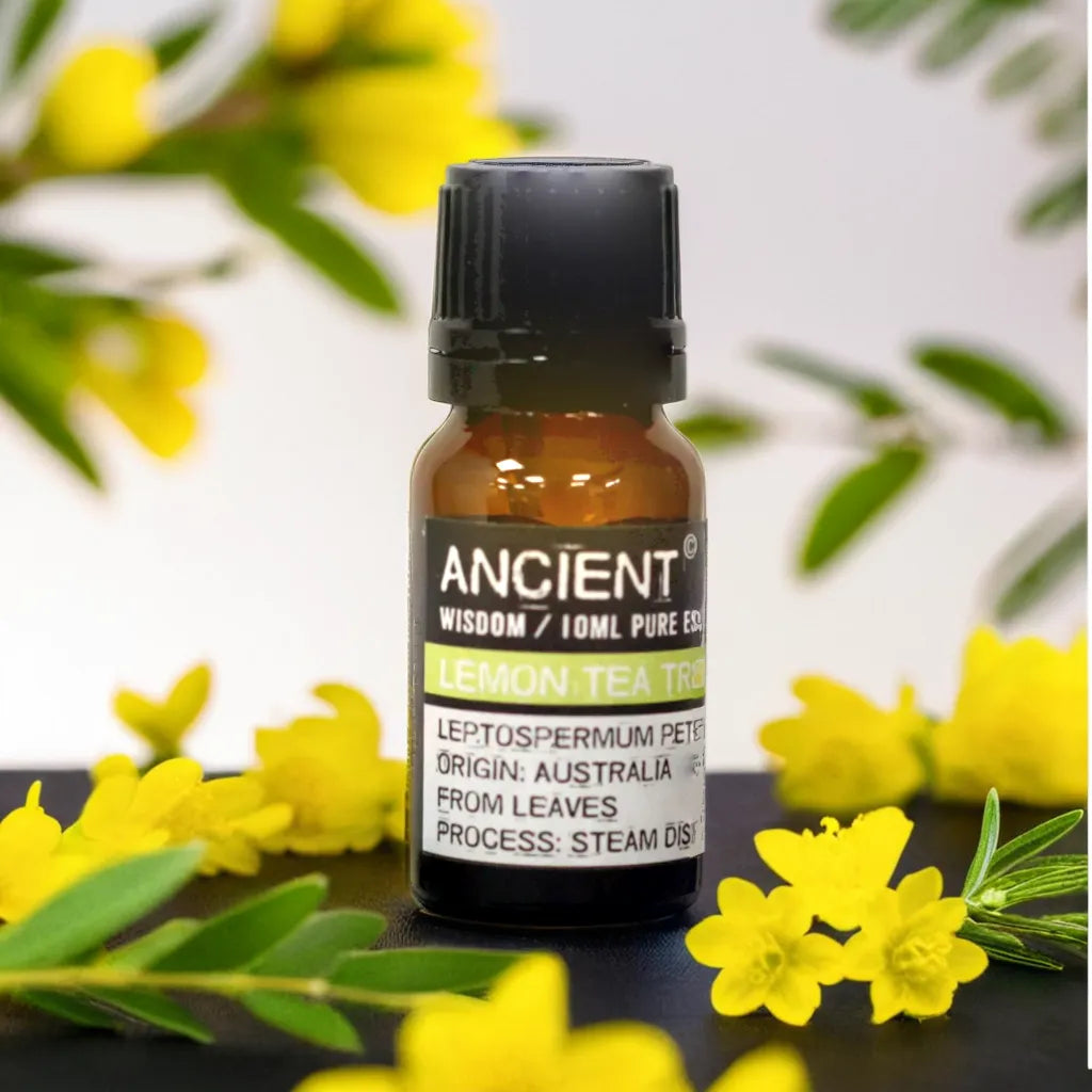 Óleo Essencial Árvore de Chá de Limão | Lemon Tea Tree (10ml)