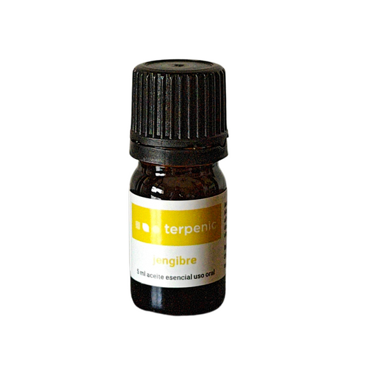 Óleo Essencial de Gengibre - BIO | 5ml TERPENIC