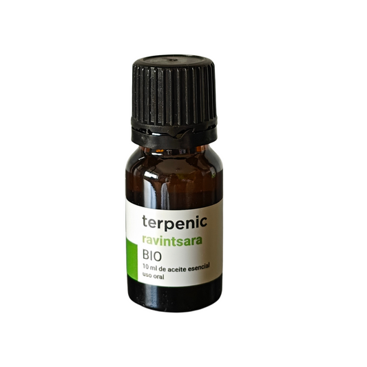 Óleo Essencial de Ravintsara - BIO | 10ml TERPENIC