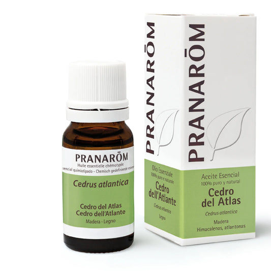 Óleo Essencial de Cedro do Atlas BIO | 10 ml - PRANARÔM