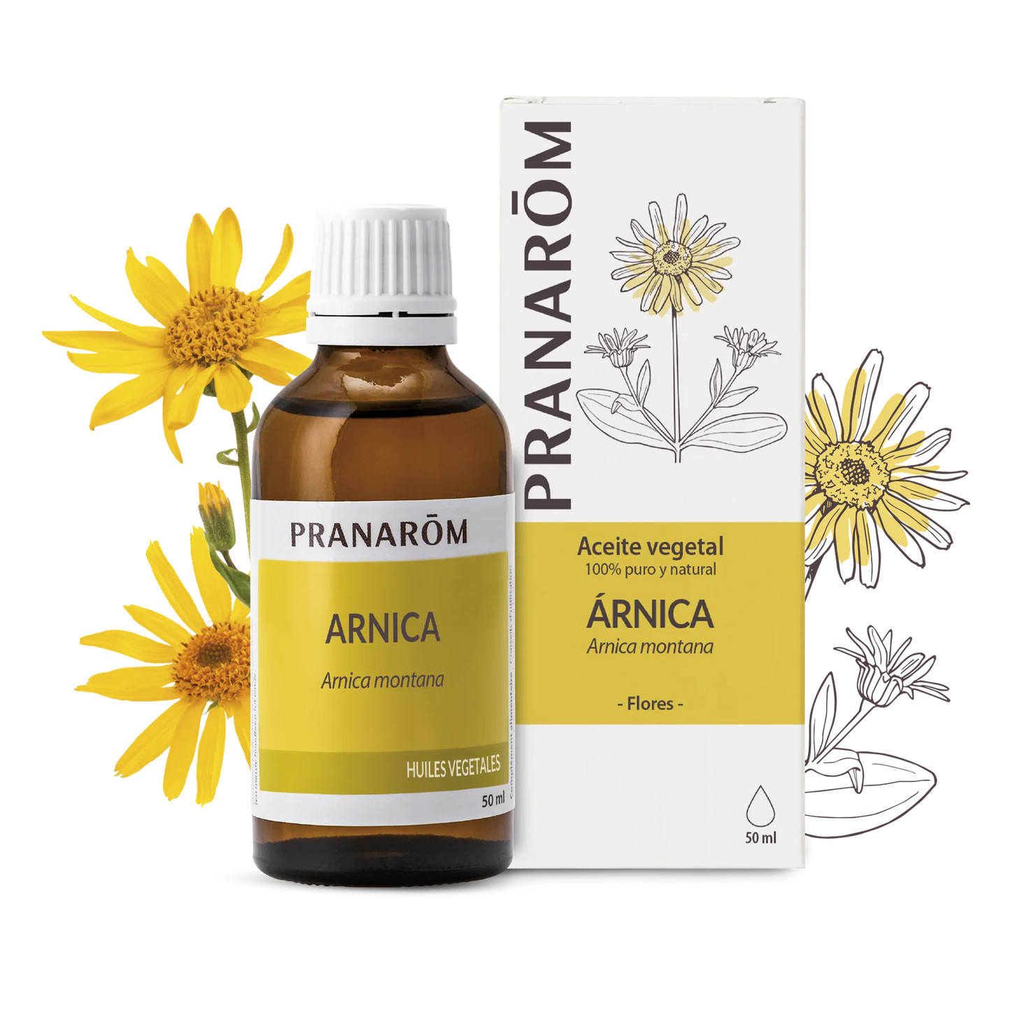 Óleo Vegetal de Arnica | 50 ml - PRANARÔM