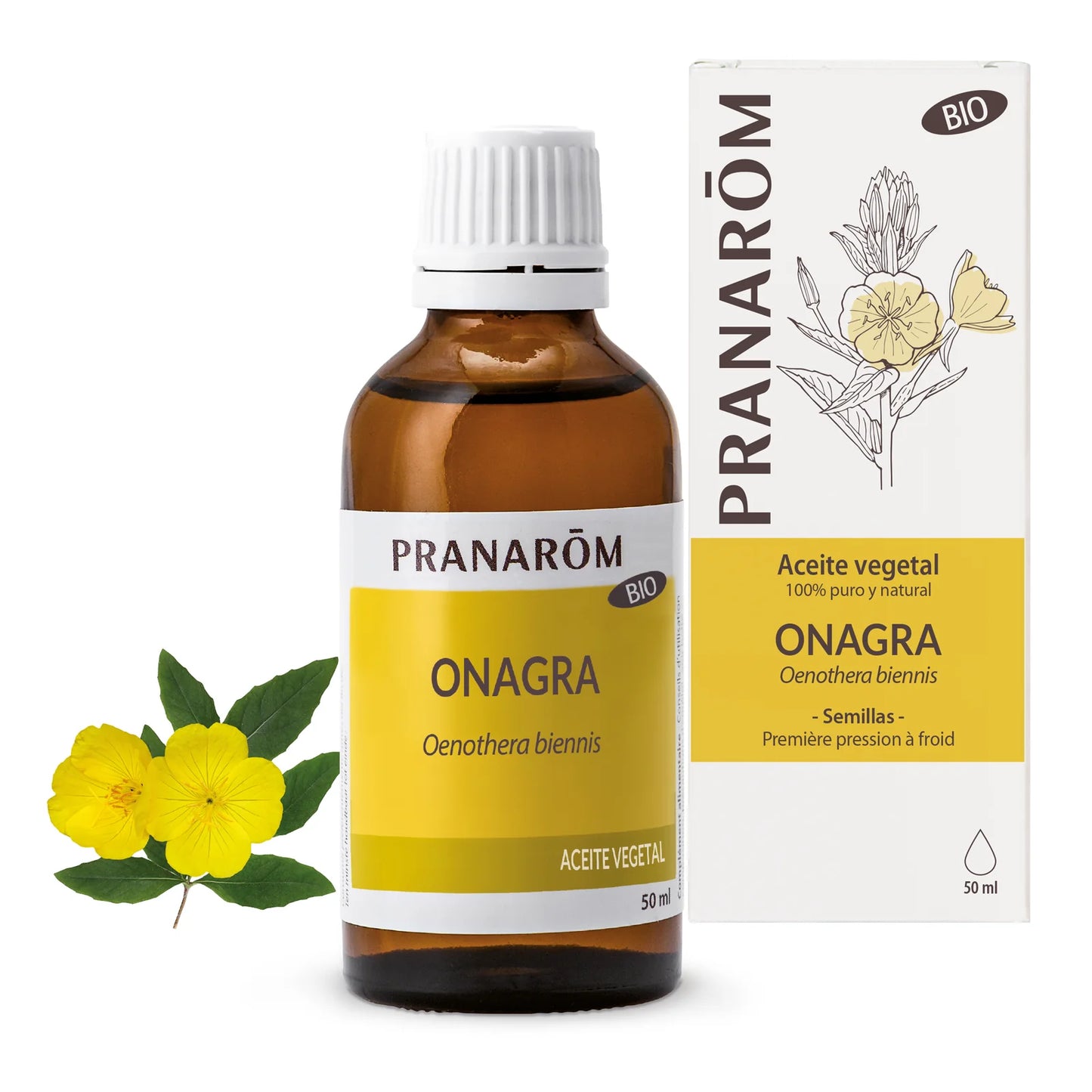 Óleo Vegetal de Onagra BIO | 50 ml - PRANARÔM