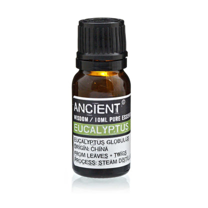 Óleo Essencial Eucalipto | Eucalyptus globulus (10ml)