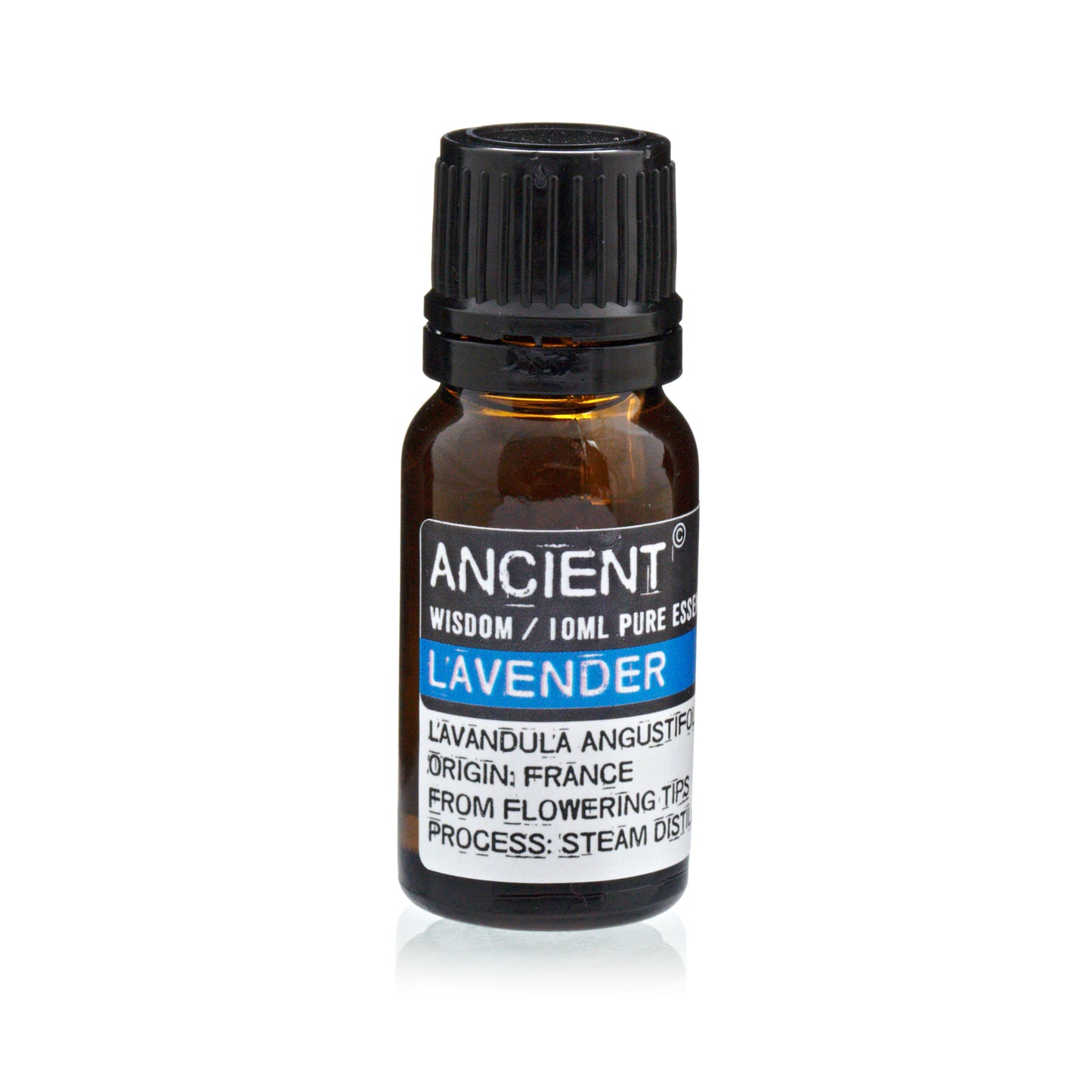 Óleo Essencial Lavanda | Lavander angustifólia (10ml)