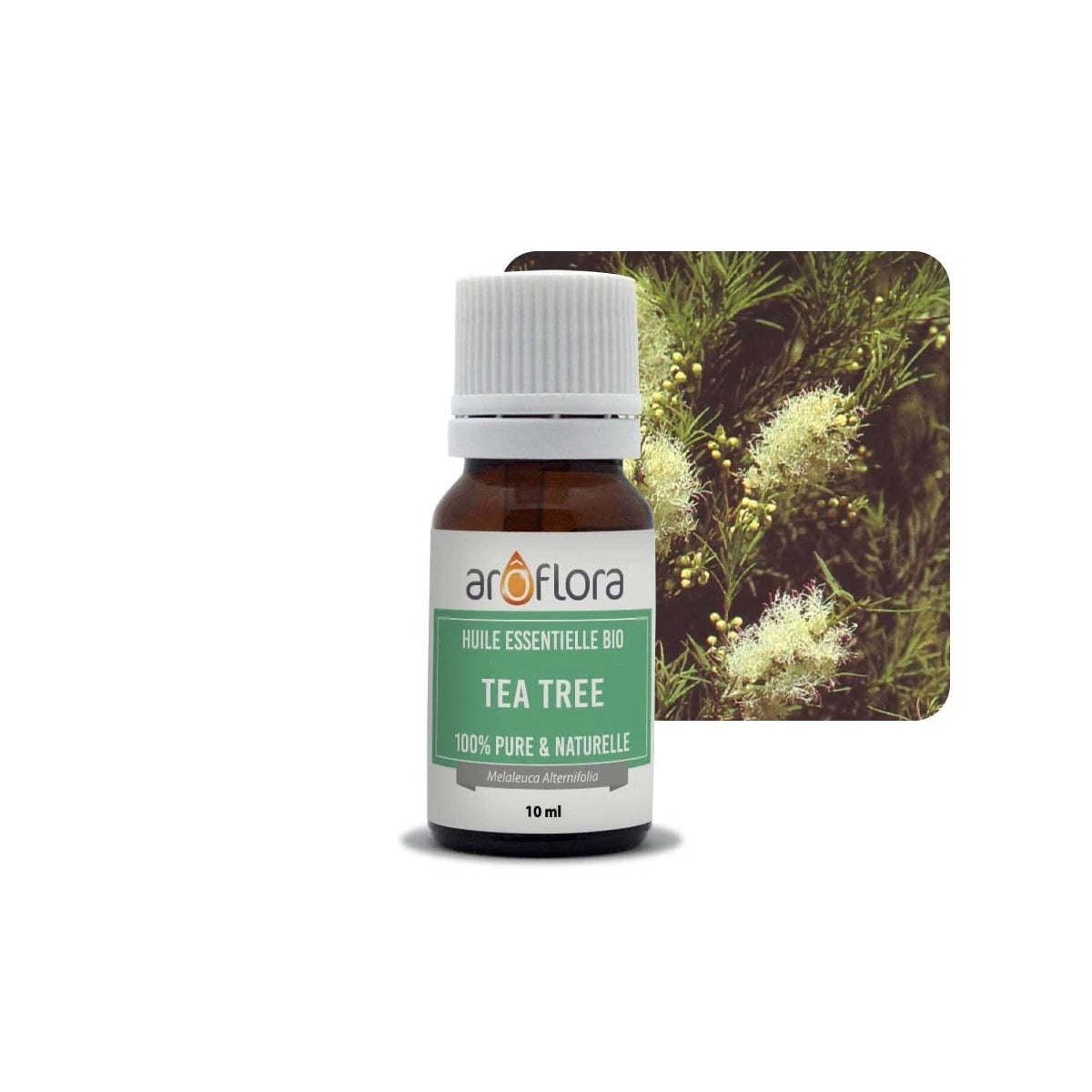 Óleo Essencial orgânico (AB) de Tea Tree | 100% puro e natural (10ml)