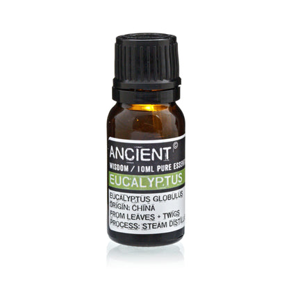 Óleo Essencial Eucalipto | Eucalyptus globulus (10ml)