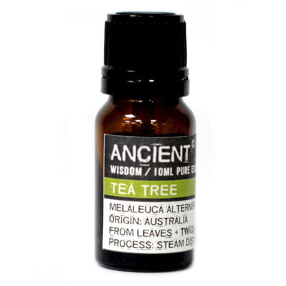 Óleo Essencial Árvore do Chá | Tea Tree (10ml)